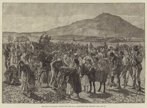O Estado da Irlanda, cultivando a Fazenda de um Ladrão de Terra Preso